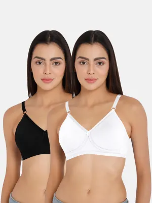 Naidu Hall Classi Knitwear Bra Combo Pack – Soft, Stylish, and Comfortable Everyday Essentials for Women (C02)